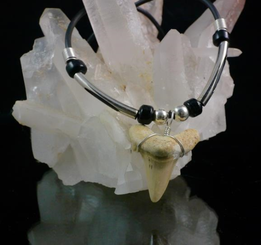 Shark Tooth Pendant