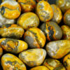 Bumble Bee Jasper