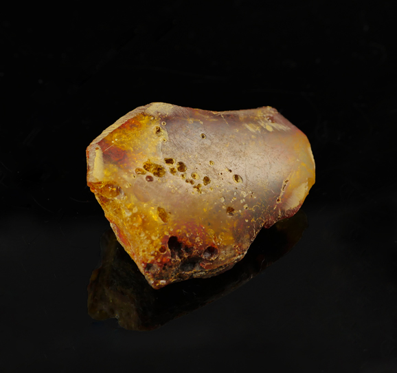 amber-specimen-brisbane