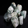 Tree Agate